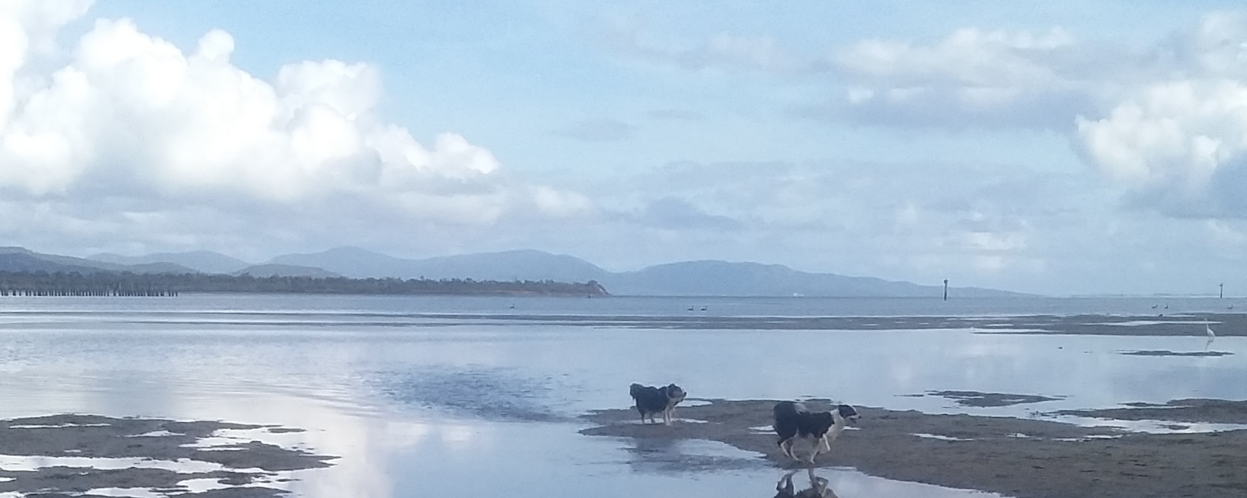 49375DC9-1110-4CDB-BC75-2138119EF8CC_1_201_a